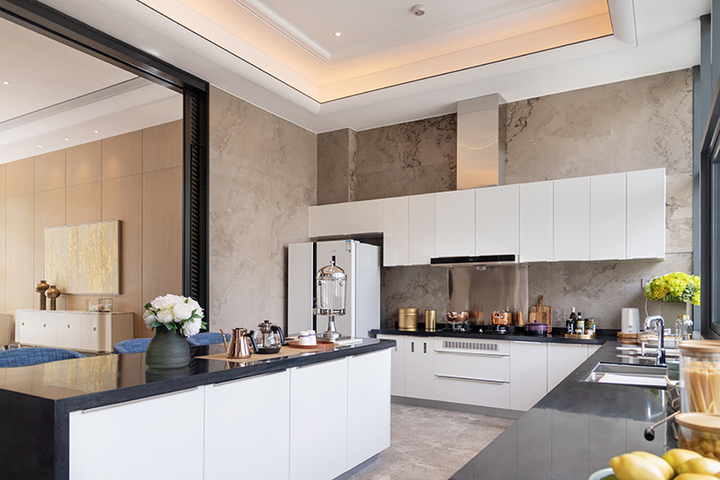 Qingshuiwan Singapore Villas (21)